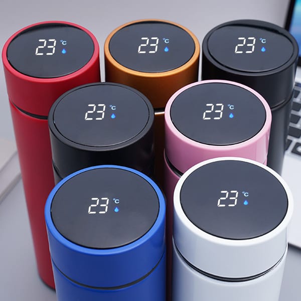 Temperature Display Thermos Water Bottle