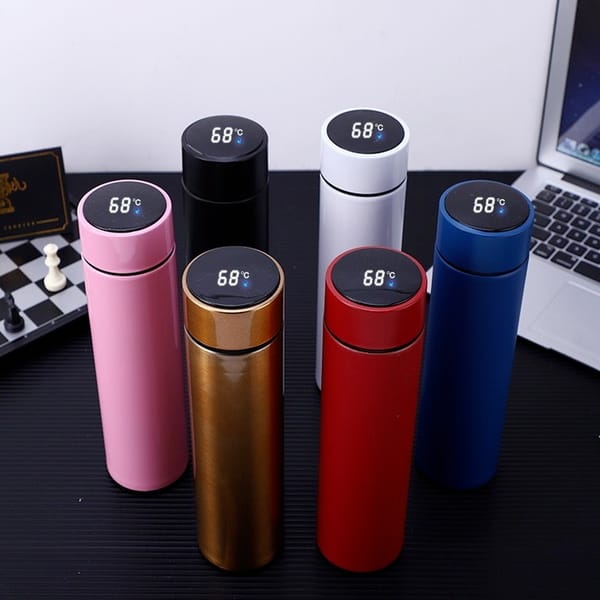 Temperature Display Thermos Water Bottle